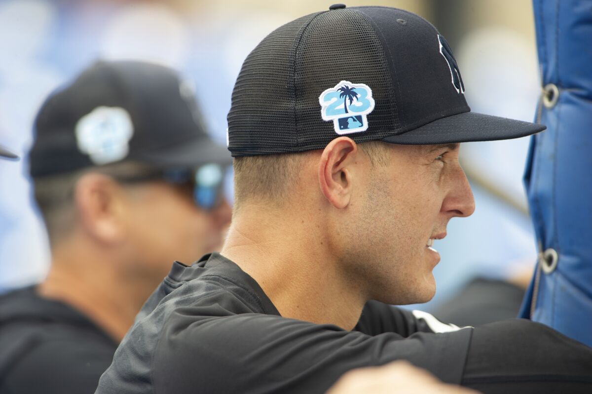 New York Yankees' Anthony Rizzo watches batting practice before a spring training baseball game against the Toronto Blue Jays at TD Ballpark in Dunedin, Fla., Saturday, March 18, 2023. (Mark Taylor/The Canadian Press via AP)