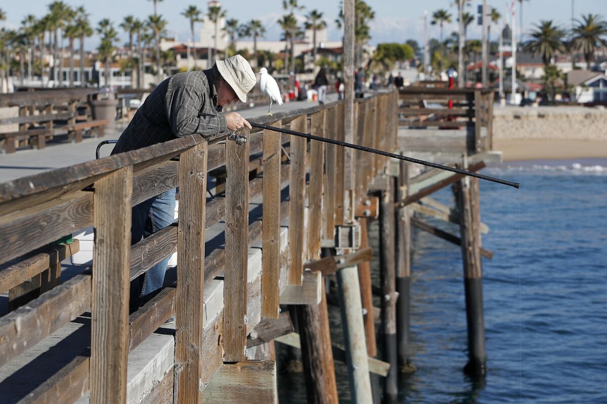 Mike Gaughan, 64, fishes for bait off the Balboa Pier in Newport Beach on Wednesday. The city of Newport Beach is considering allowing local sportfishing companies Newport Landing and Davey's Locker to place receptacles at the Balboa Pier to collect used fishing lines for recycling.