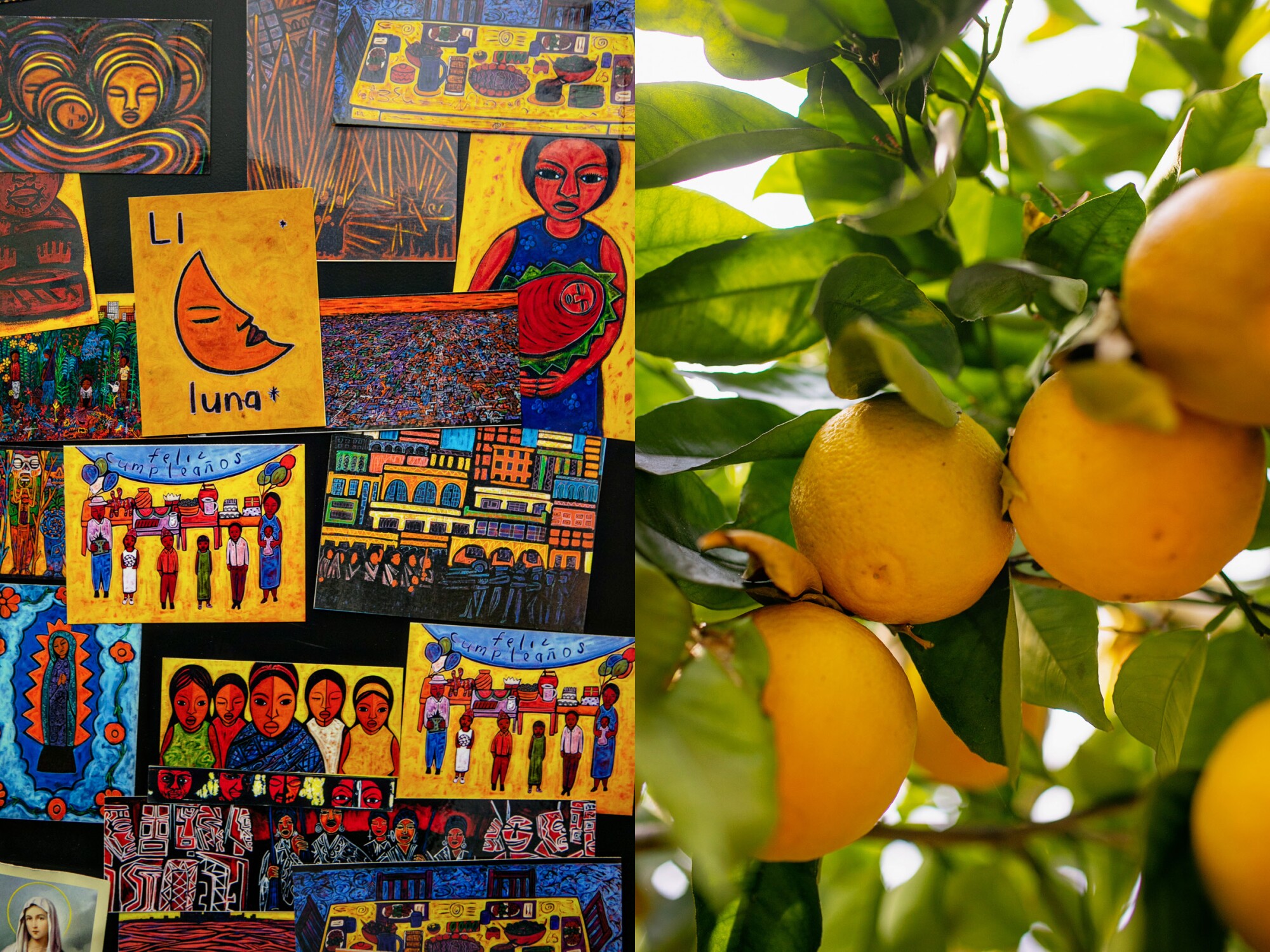 Two images, side by side, of colorful painted artwork and oranges hanging on a branch. 