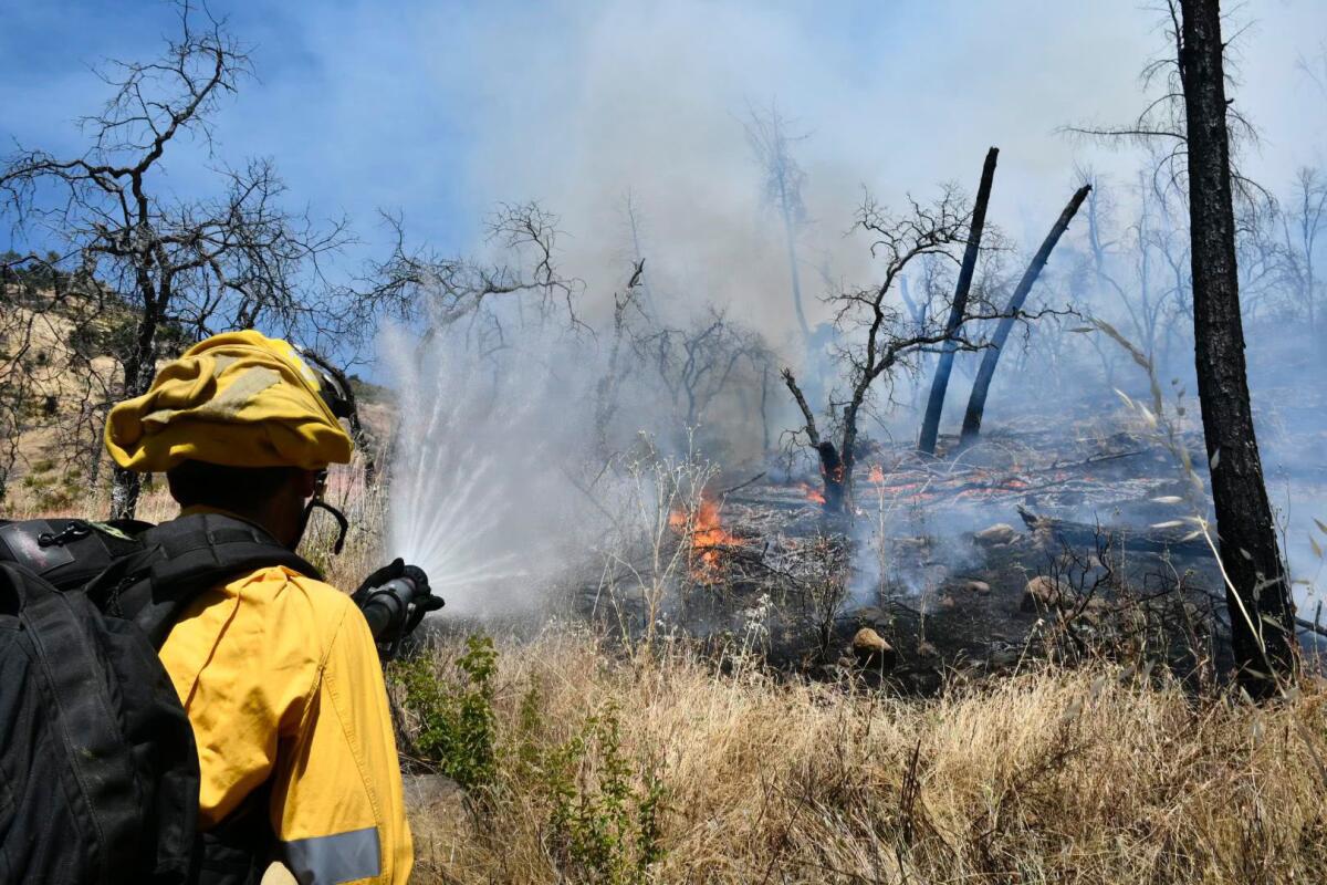 A firefighter aiming a hose toward flames on a scorched hillside