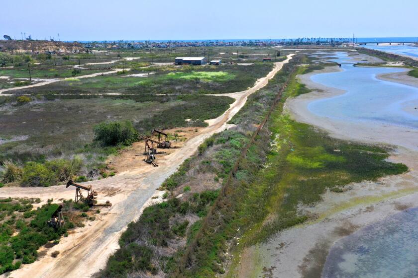NEWPORT BEACH, CALIFORNIA—MAY 19, 2021—The Trust for Public Land has secured an exclusive agreement to buy the 384-acre area and transform the largest privately-owned swath of coastal bluffs left in Southern California into a nature reserve with access for millions. The Banning Ranch, located along Pacific Coast Highway in Newport Beach has been used as a working oil field since 1934. (Carolyn Cole / Los Angeles Times)