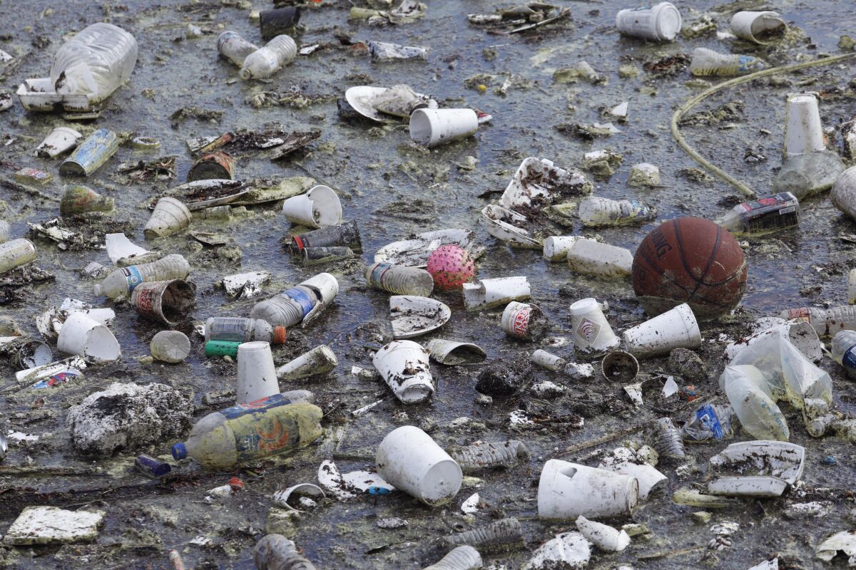 A basketball and other debris float down Balloona Creek near Marina Del Rey after a rainstorm.
