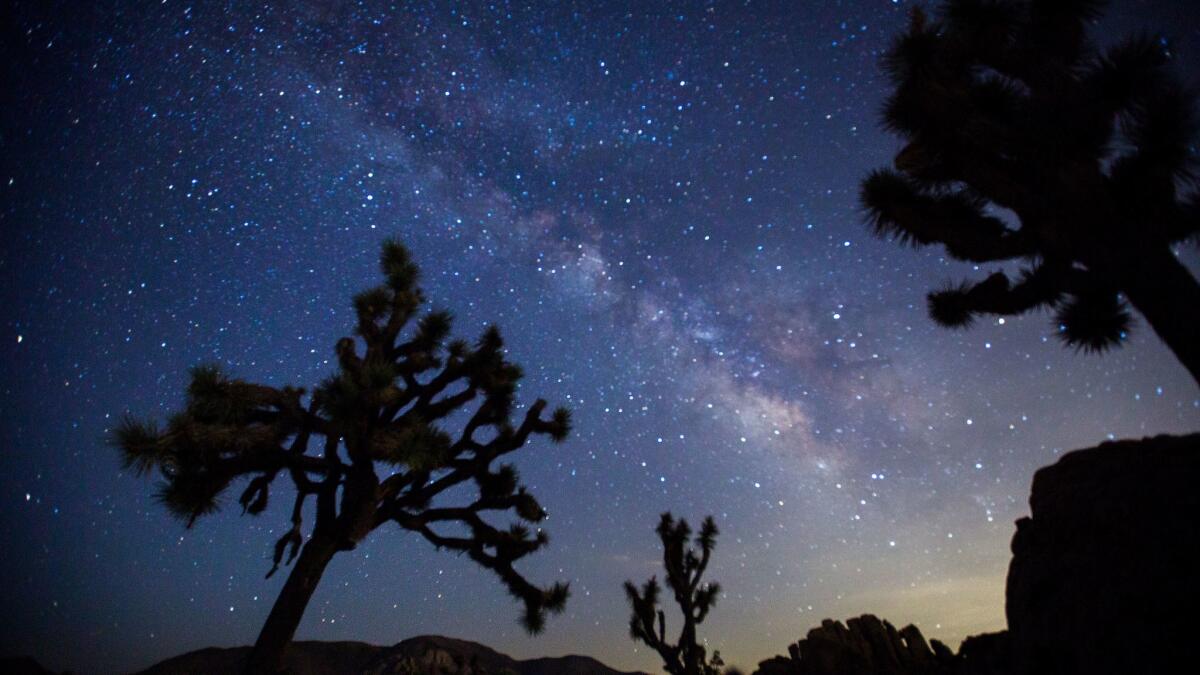 Two bodies were discovered Sunday inside Joshua Tree National Park. The grim discovery comes nearly three months after a couple went missing, prompting a massive search in the park, but the bodies have yet to be identified.