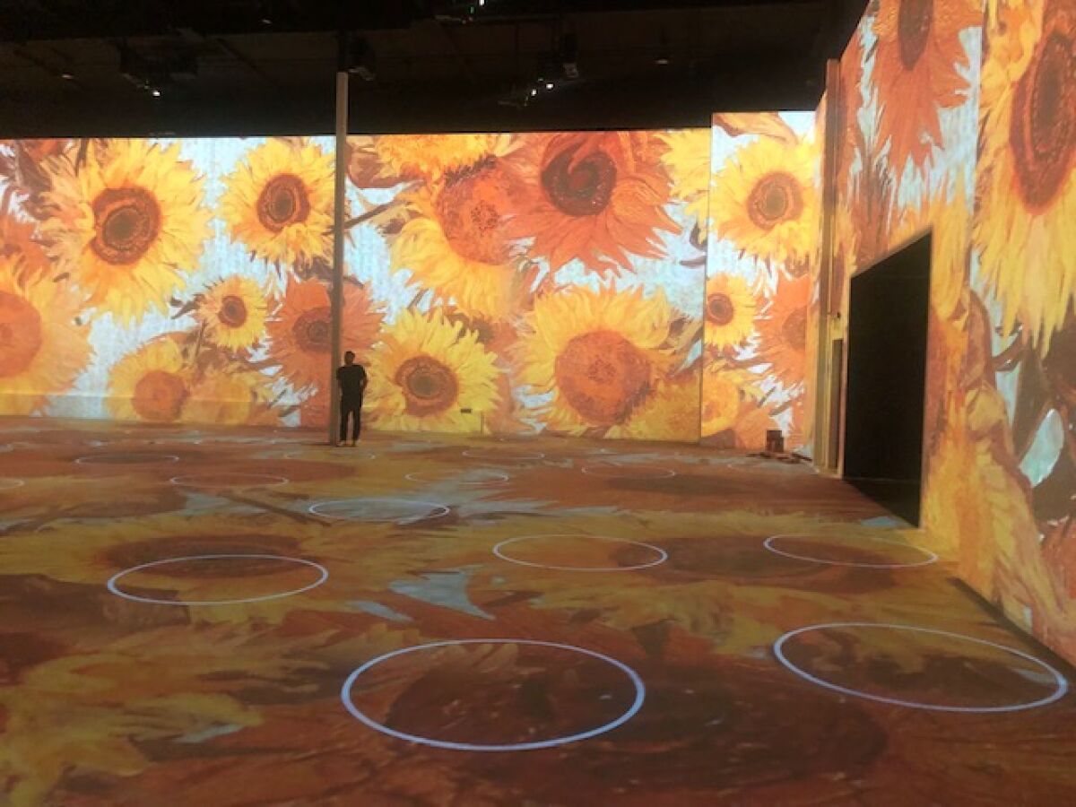 A visitor walks through a room filled with projections of sunflowers in the "Immersive Van Gogh" show.