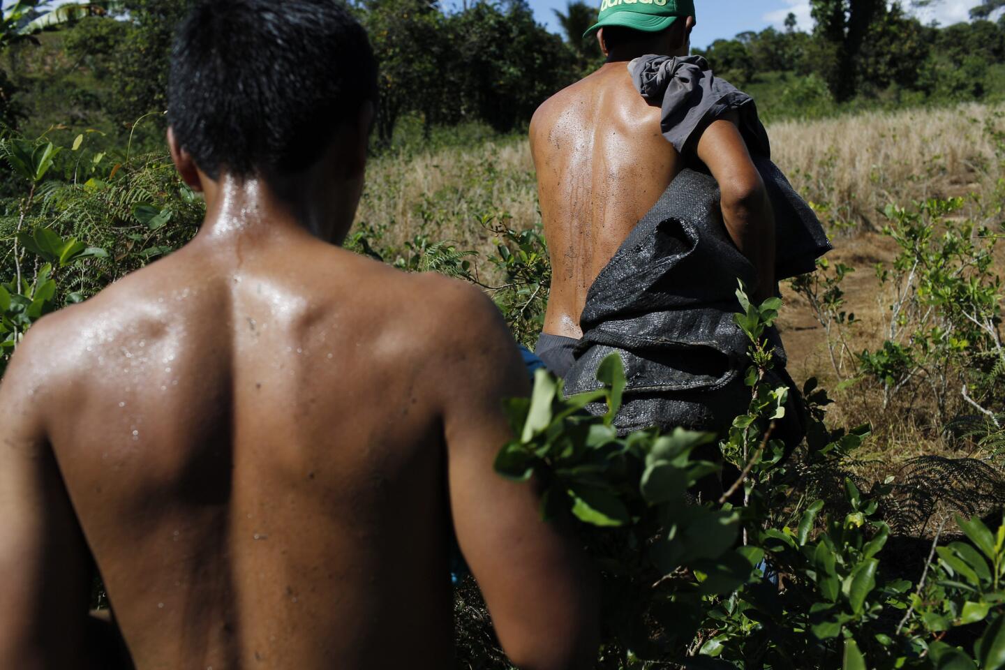 PERU-COCALEROS