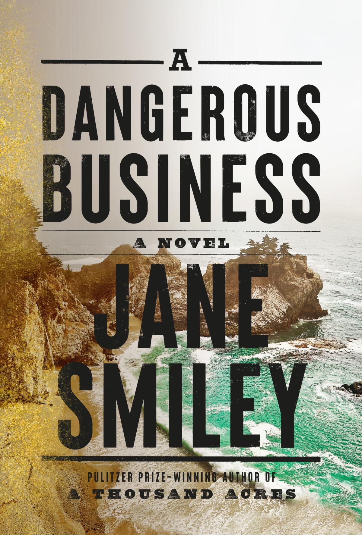 Cover of 'A Dangerous Business,' by Jane Smiley