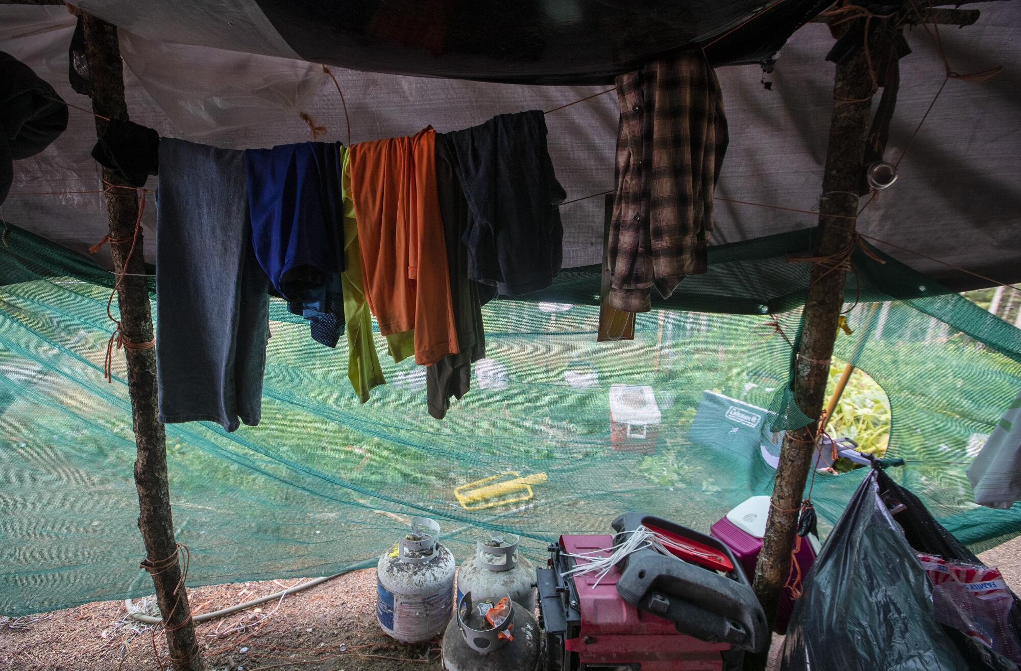 Clothes hang on a line in makeshift living quarters on an illicit grow.