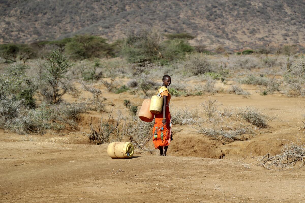 ARCHIVO - Una mujer busca agua durante la sequía que afecta la escuela primaria Loolkuniyani,