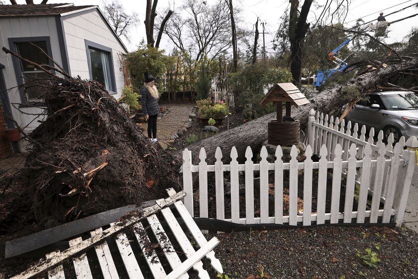 Helena Zappelli surveys the damage to her yard and vehicle after a large tree fell over, Tuesday, March 21, 2023, on Humboldt Street in Santa Rosa, Calif., during another storm to wallop the state. (Kent Porter/The Press Democrat via AP)