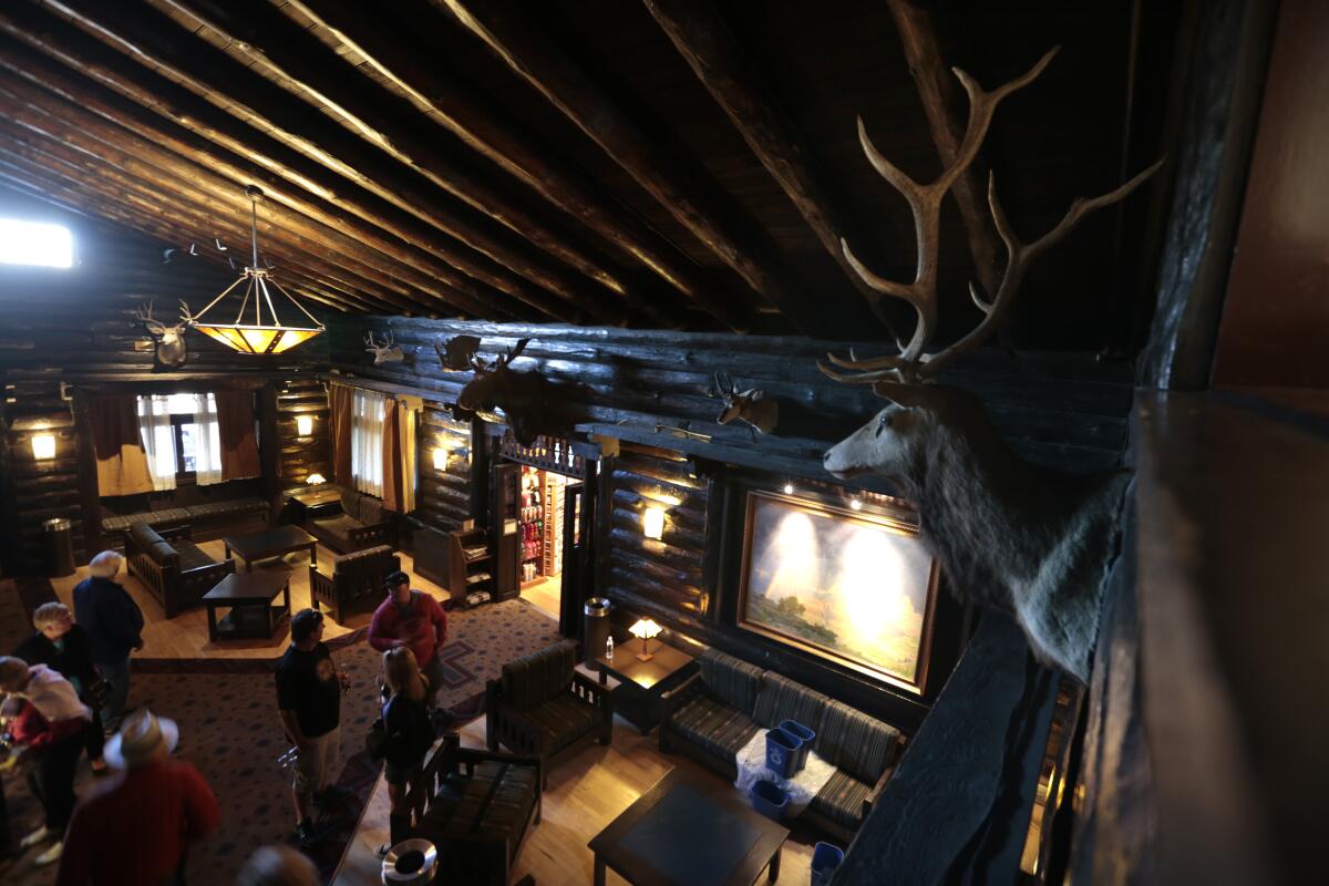 A hotel lobby with log cabin walls and mounted animal heads