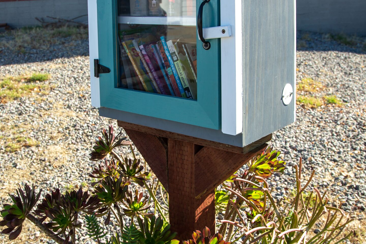 Neighbors in Valencia Park are reviving their community and working on installing Little Libraries, organizing community cleanups and scouting places for murals.
