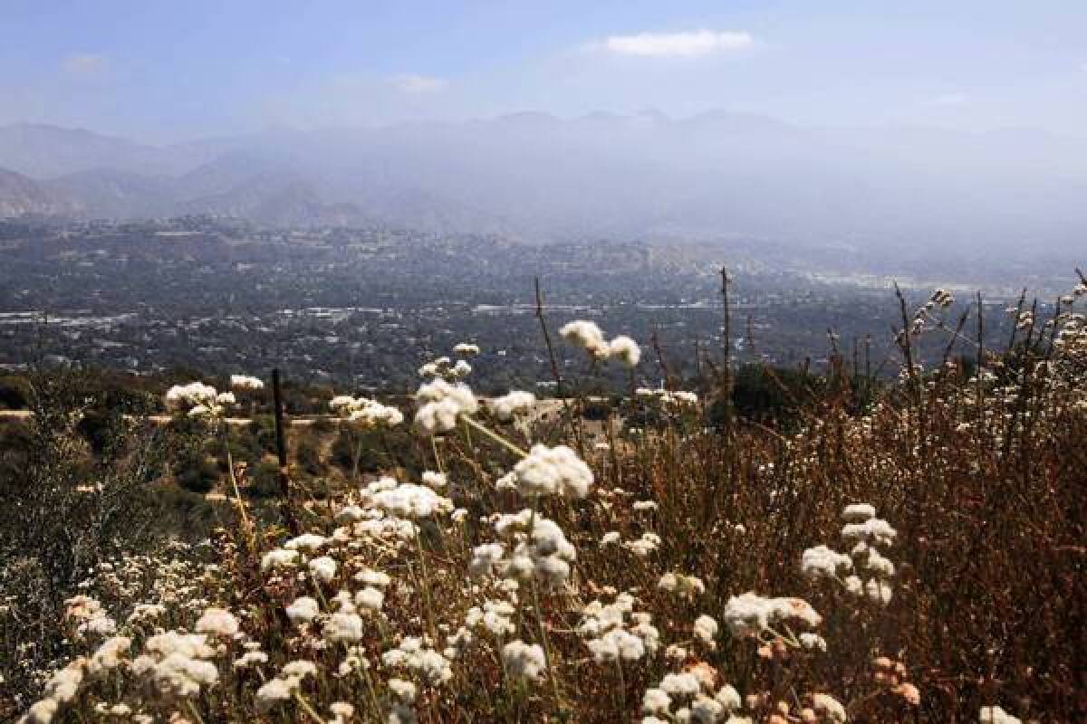 A summit view from Owl Trail.