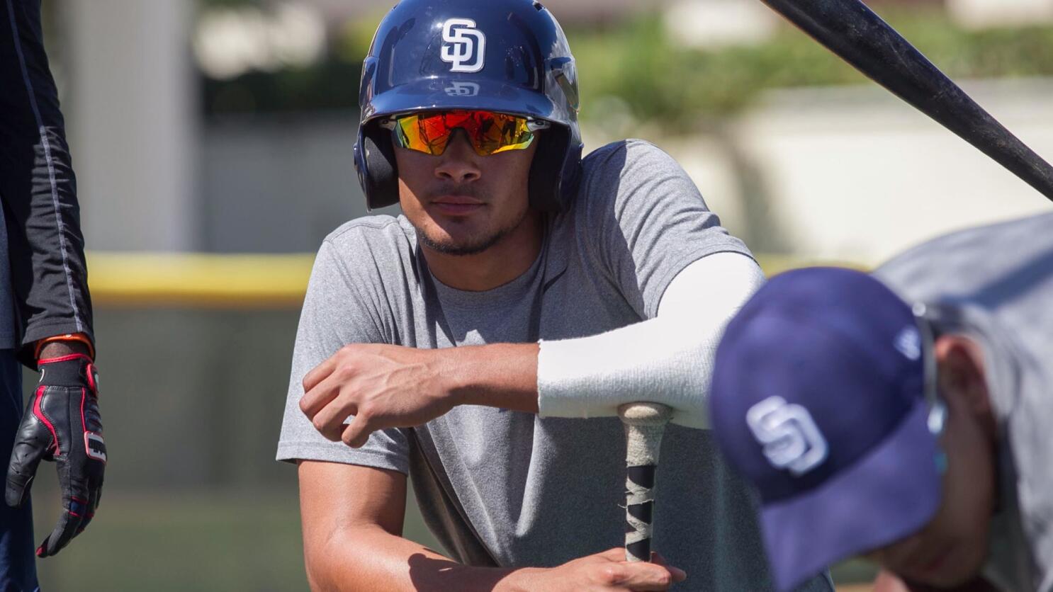 Fernando Tatis Jr. sets TinCaps homer record - The San Diego Union-Tribune