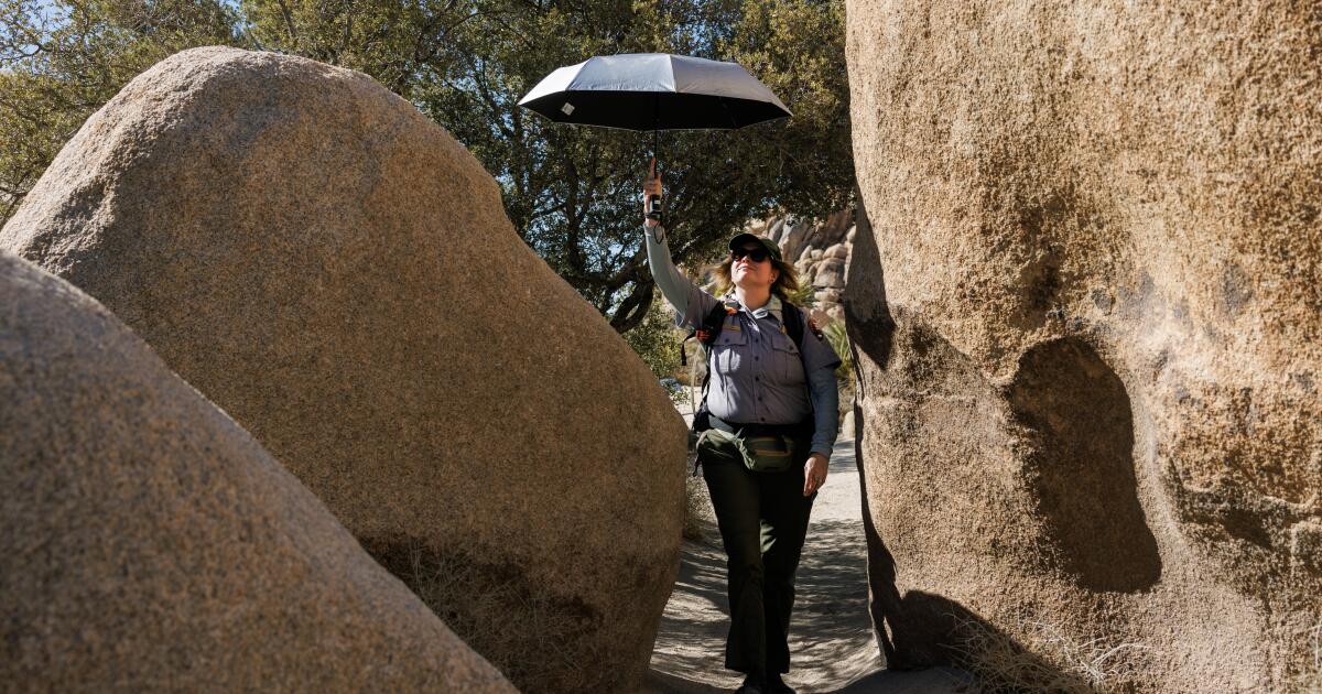 Joshua Tree Nationwide Park: Staying secure and what to deliver