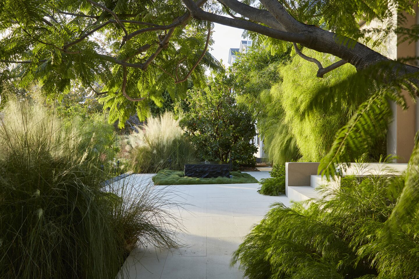 Foliage on the entry terrace glows in the sunlight and is set in motion by the slightest breeze. Careful grading and layout of landscape elements maximizes a feeling of spaciousness in this typical-sized rectangular lot.