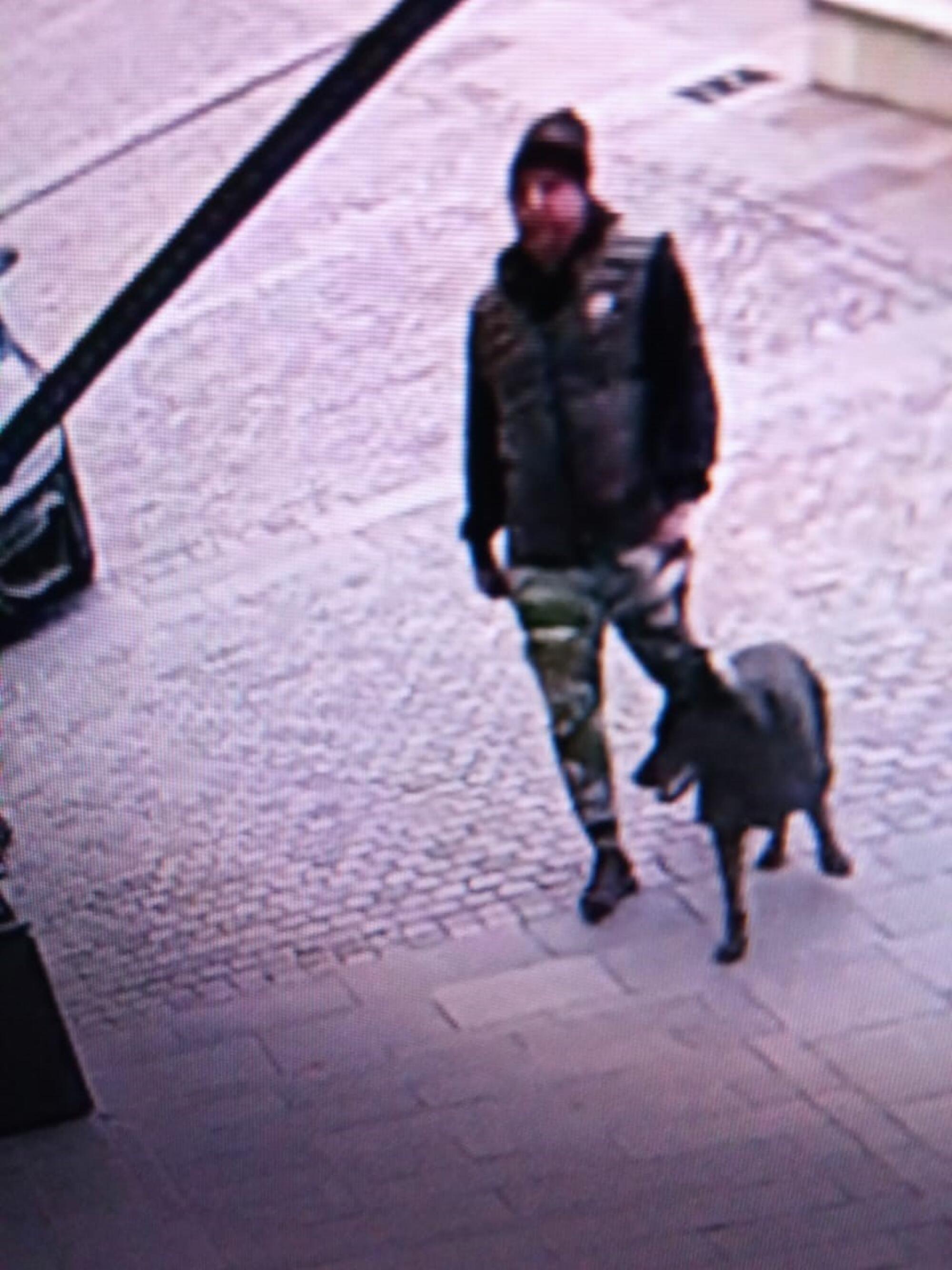 Richard Ayvazyan walking his dog when he was a fugitive in Montenegro