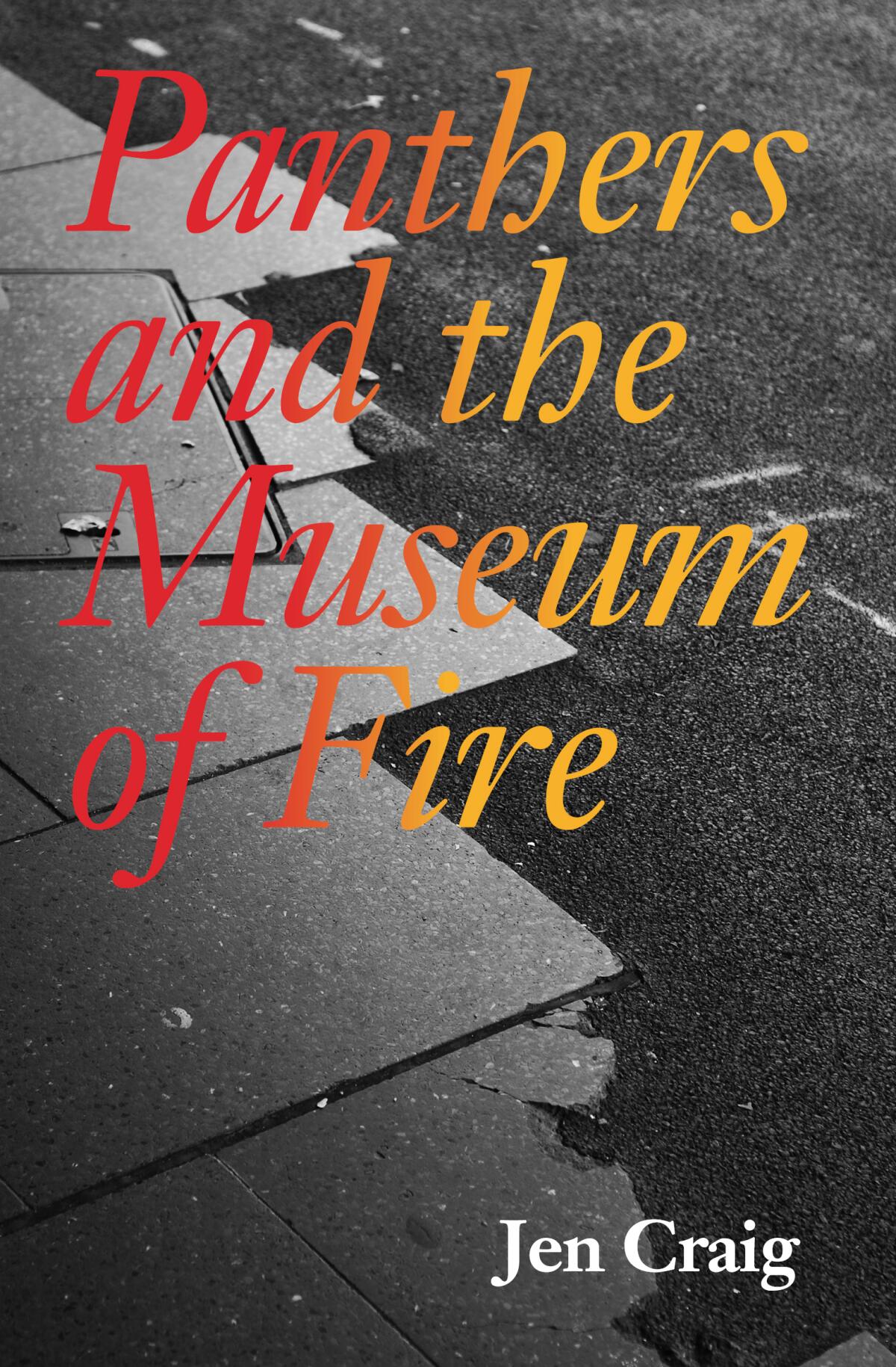 "Panthers and the Museum of Fire" by Jen Craig