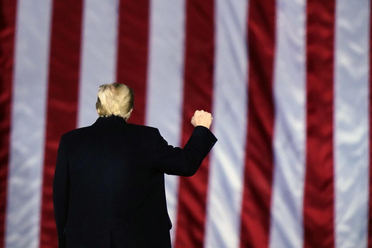 Trump is shown from the back, raising his fist into the air, with the red and white stripes of the American flag behind him