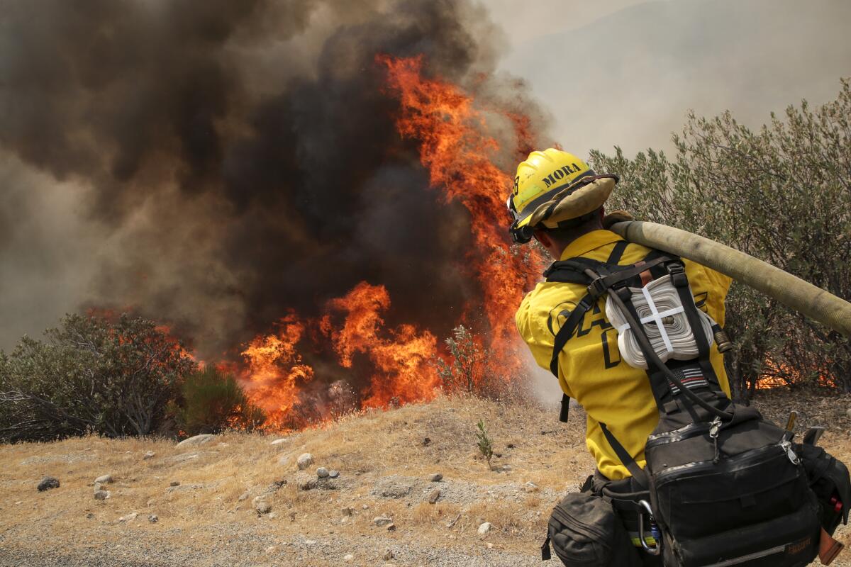 A firefighter is seen from behind aiming a hose on leaping flames.