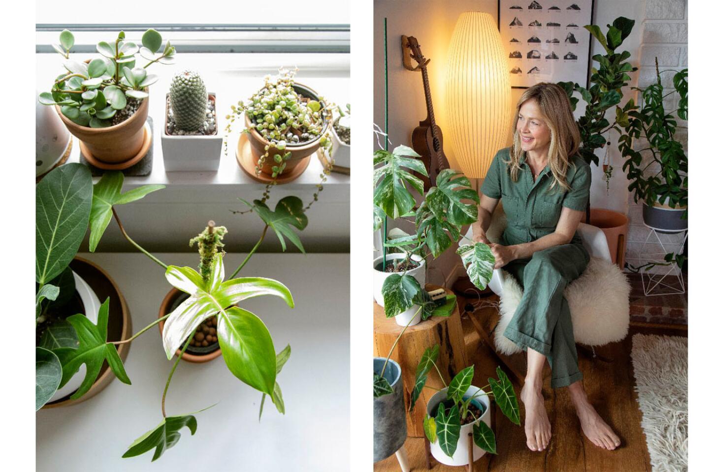 Instagram plant influencers