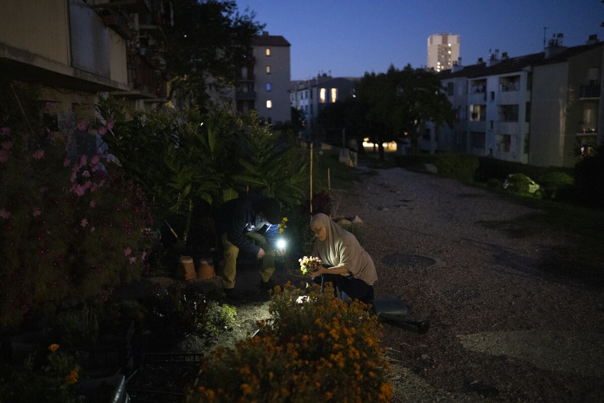 Yaizid and Samia Bendaif work on their garden at night outside their home at the cite SNCF in Marseille, southern France, Tuesday Oct. 26, 2021. The Cite SNCF was originally built to house the railway workers who maintained Marseille's train network. Today, the train line which runs through the city marks the border of the communal garden. (AP Photo/Daniel Cole)