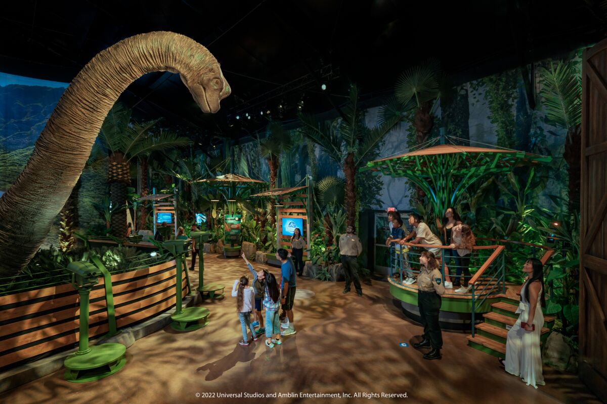 A animatronic Brachiosaurus moves around in its enclosure in the Jurassic World: The Exhibition.