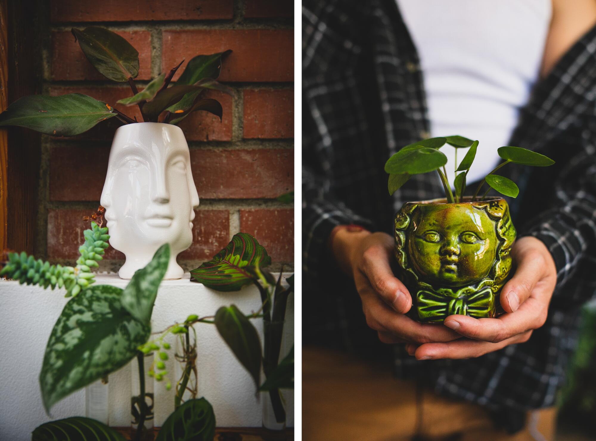 Two pots in the shape of faces, one white and one green, hold plants.