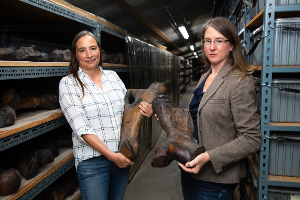 Regan Dunn and Emily Lindsey hold femur bones of ground sloths