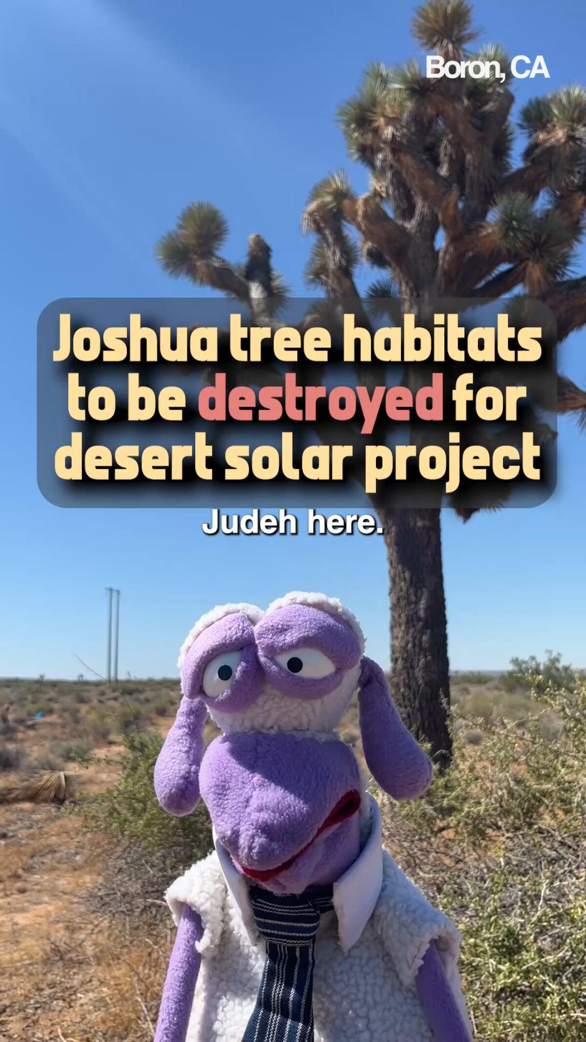 Judeh in the Mojave desert with title