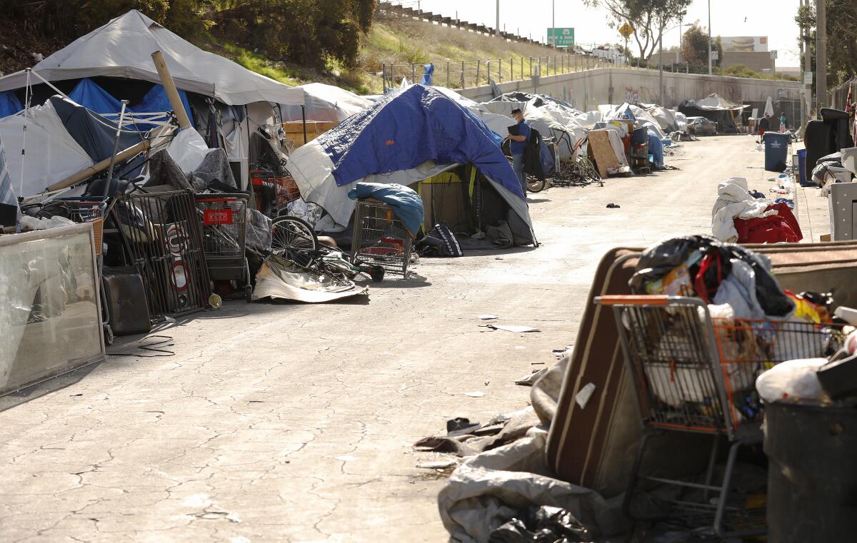 Tents pitched by homeless people at Irwin Avenue and West 101st Street in Inglewood.