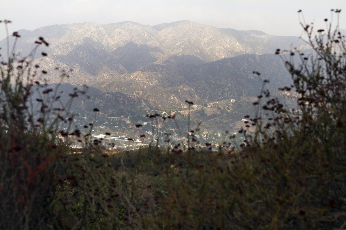 After about a 2-mile hike on the gentler path, you will see a water tank at a T-section. Turn left, where you will see the San Gabriel Mountains with Mt. Lukens and Mt. Wilson to the right. In the foreground, you will see Tujunga, La Crescenta, Montrose, Glendale and La Canada.