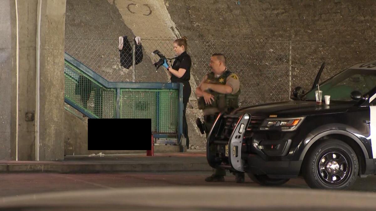 A deputy stands next to a patrol cruiser as an investigator takes photos next to stairs under a freeway