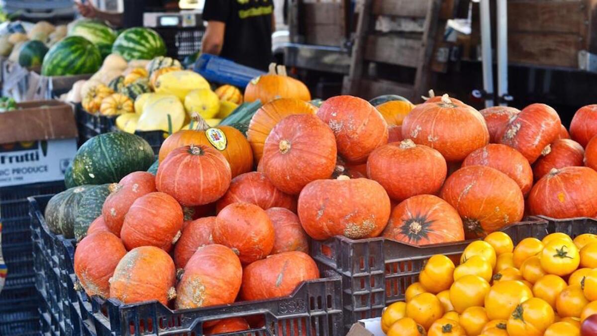 The day before Thanksgiving is the busiest day of the year for the Wednesday Santa Monica farmers market.