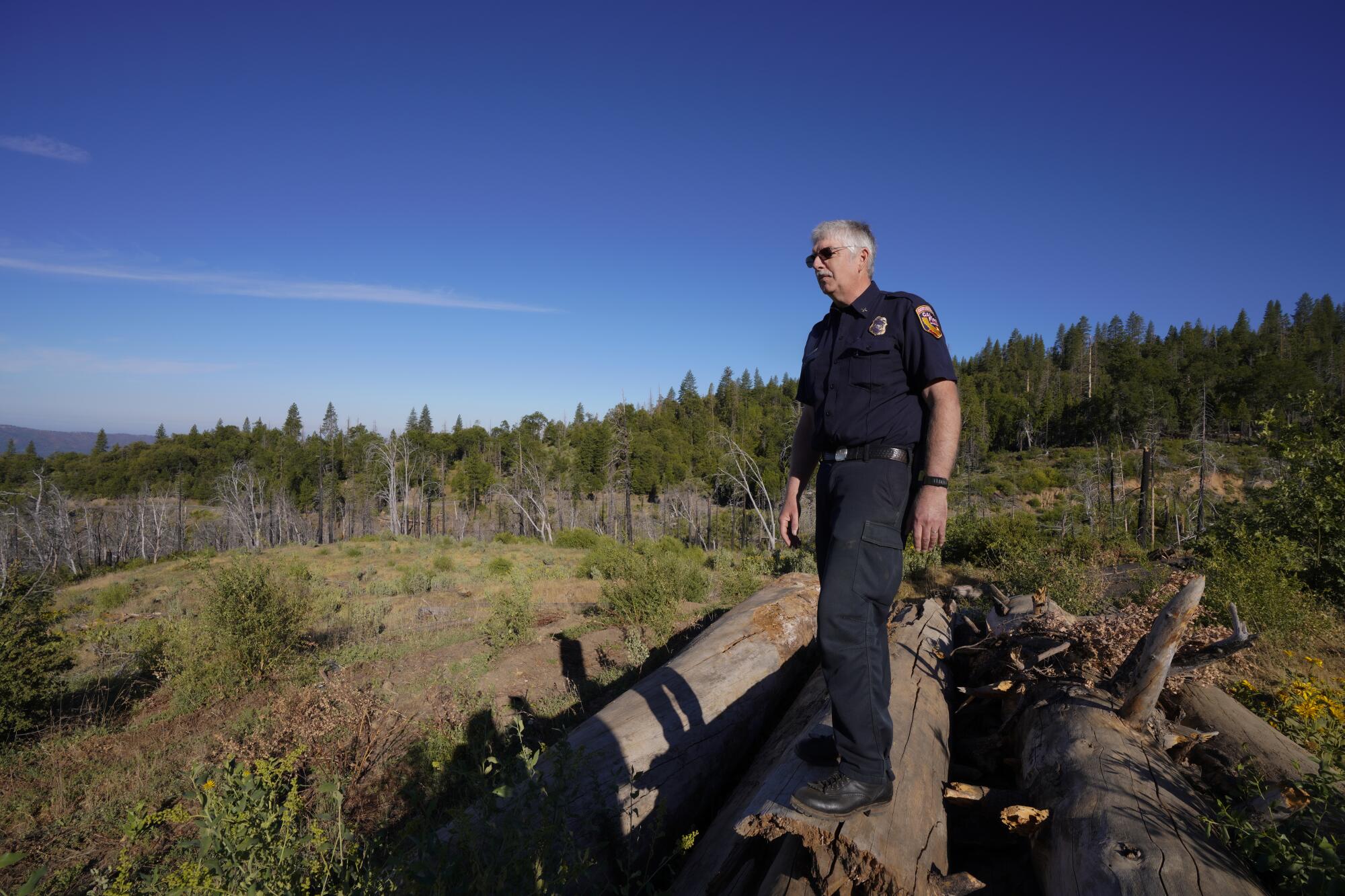 Brian Mattos, forester for CalFire, surveys the area for pine and other cones in the Sierra National Forest.