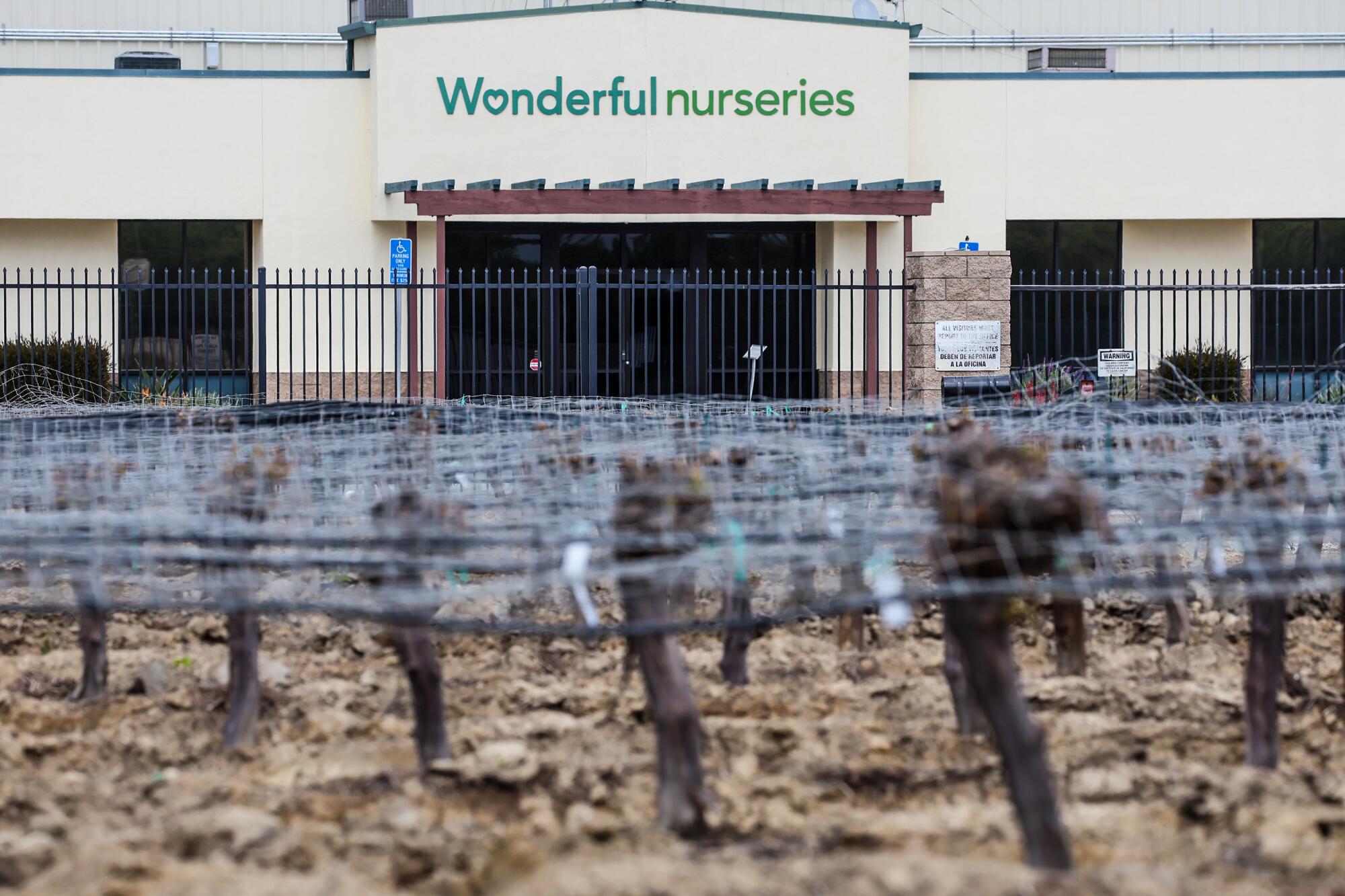 A field of grapevines in front of Wonderful Nurseries in Wasco