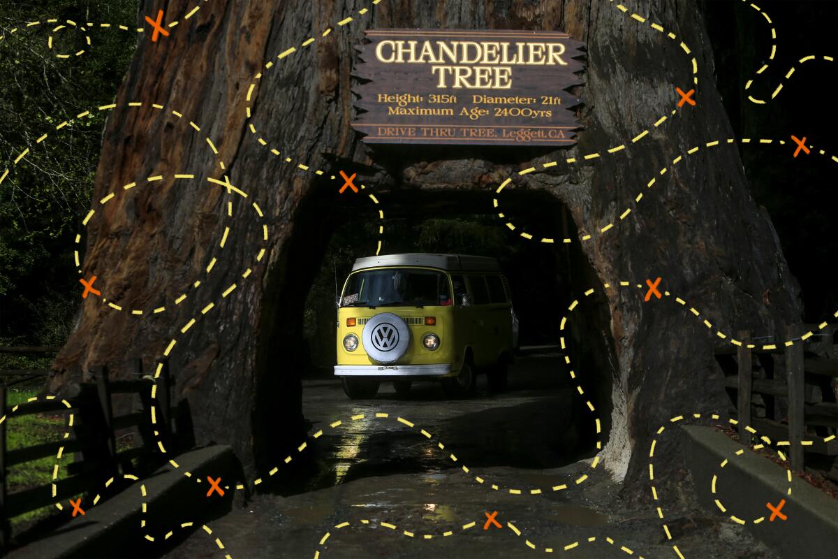 Photo illustration of a VW bus driving through a tunnel in a redwood tree. Dotted lines and Xs overlay the photo.