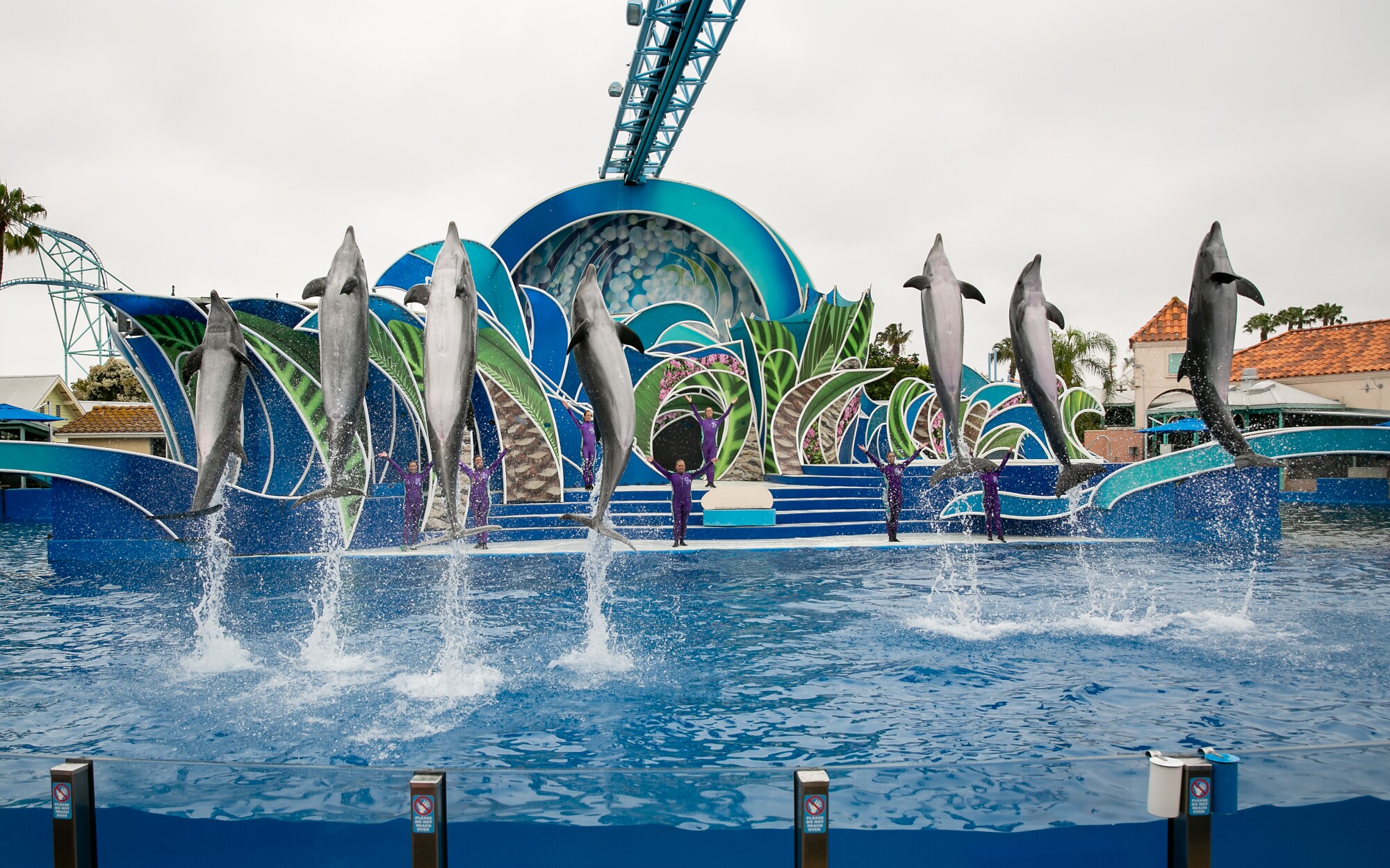 Can SeaWorld survive against Disney, Harry Potter and PETA? - The San