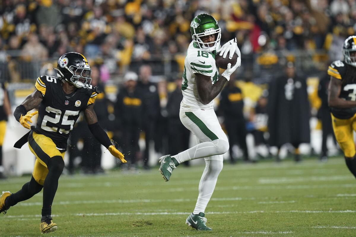 Jets wide receiver Mike Williams pulls in a pass against Steelers safety DeShon Elliott.