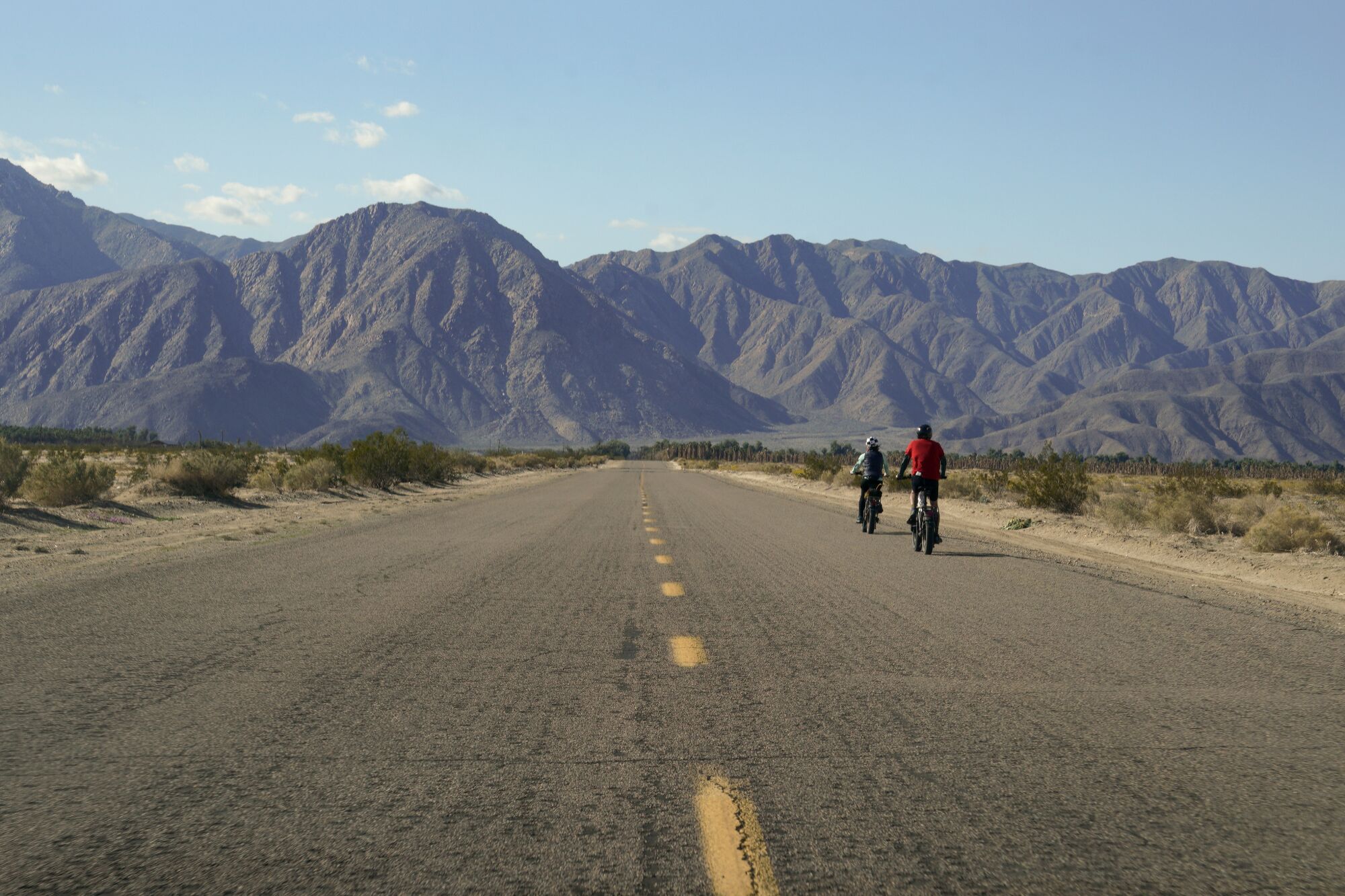 Two cyclists ride along the Henderson Canyon Flower Fields Thursday in Borrego Springs.