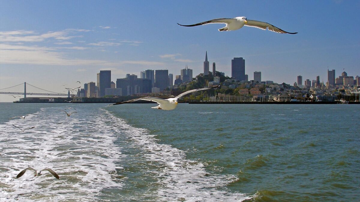 Keep your cool and get cool views of San Francisco on a ferry ride. (Andrew Doucette)