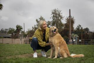 Encinitas, CA - November 07: Barbara-Lee Edwards plays with her dog Charlotte at Maggie Houlihan Memorial Dog Park on Monday, Nov. 7, 2022 in Encinitas, CA. Edwards was on San Diego's CBS Channel 8's nightly newscast for nearly 20 years until 2020 when she suffered a near-fatal subarachnoid hemorrhage. Edwards has been focusing on her health and enjoys baking, cooking and going to the dog park. (Ana Ramirez / The San Diego Union-Tribune)