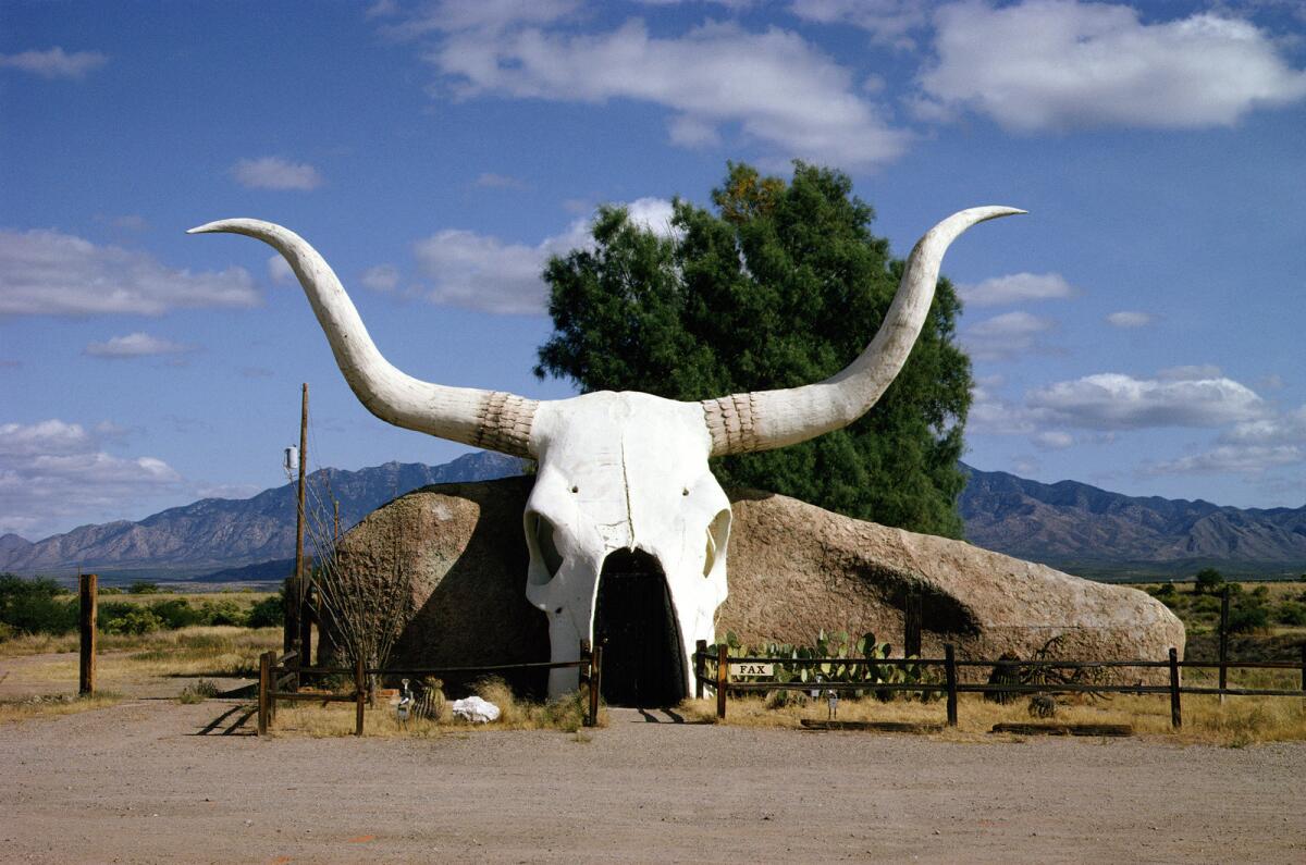 Longhorn Cafe, Amado, Ariz. (John Margolies/Library of Congress)