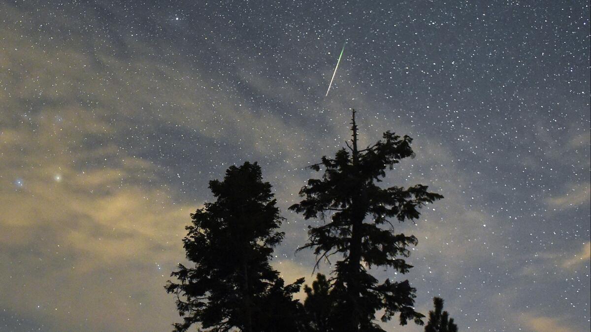A Perseid meteor streaks across the sky above desert pine trees in Spring Mountains National Recreation Area near Las Vegas.