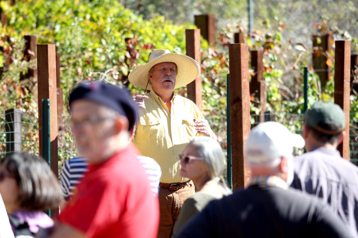 Stuart Byles from the Stone Barn Vineyard Conservancy lead a tour of the grounds during the History of Winemaking in the Crescenta Valley event at Deukmejian Wilderness Park in Glendale on Saturday, November 7, 2015. After an informational talk about the area, attendees got a brief tour of the vineyard at the park.