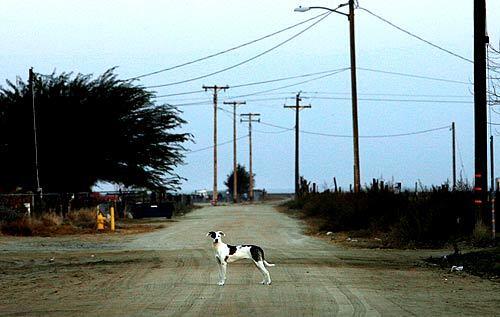 la-allensworth1-j9tjrtnc