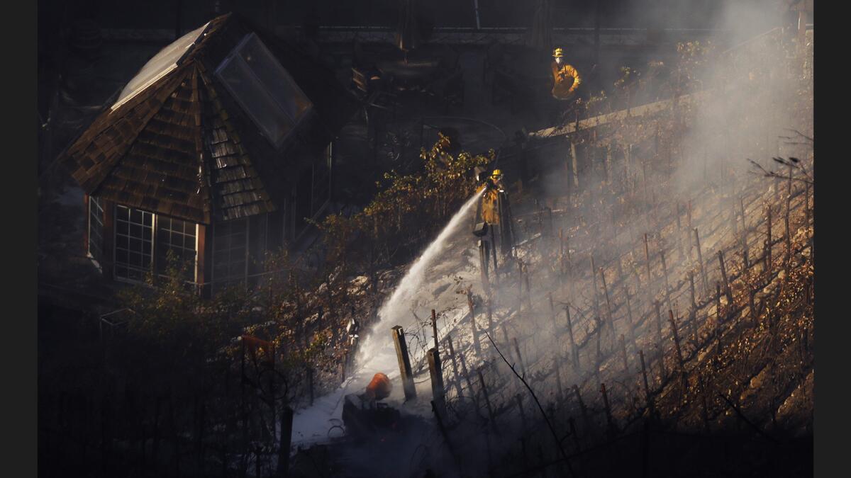 Firefighters douse a hot spot next to a vineyard charred by the Skirball fire in Bel-Air.