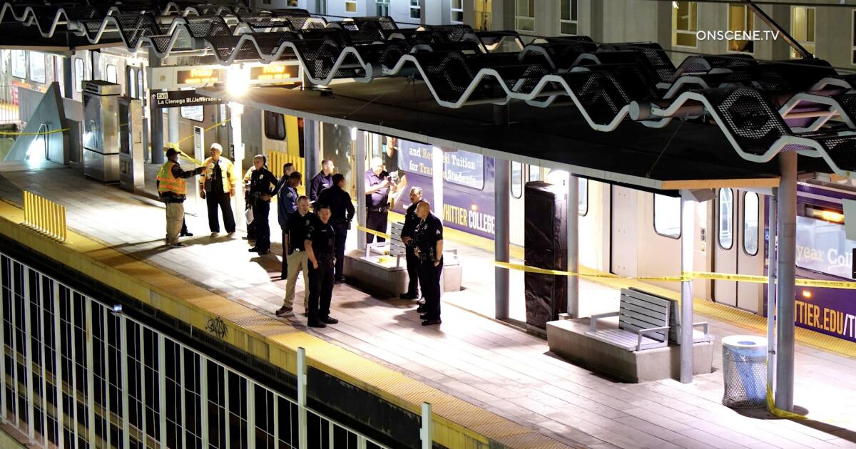 Man shot dead on subway train in South LA, police said