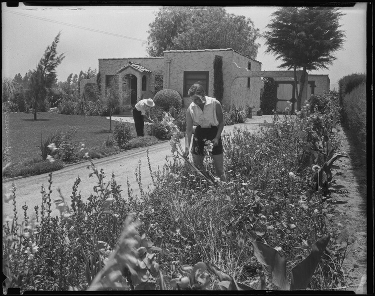 Members of the Wood family pick flowers at their small farm home in the San Fernando Valley in 1935.
