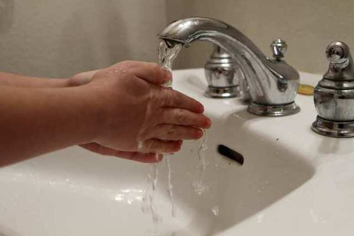 A new study adds to an ongoing debate about triclosan, a chemical in antibacterial soaps.