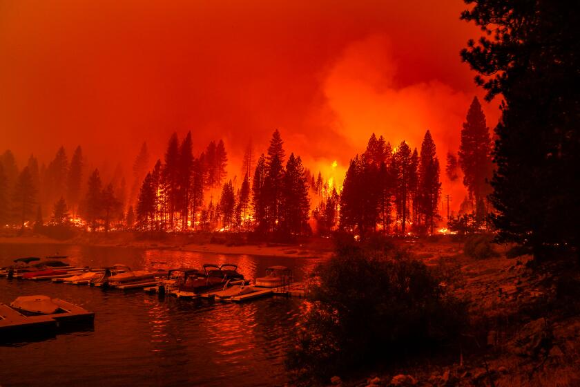 SHAVER LAKE, CA - SEPTEMBER 06: Firefighters conduct a back burn operation along CA-168 during the Creek Fire as it approaches the Shaver Lake Marina on Sunday, Sept. 6, 2020 in Shaver Lake, CA. (Kent Nishimura / Los Angeles Times)